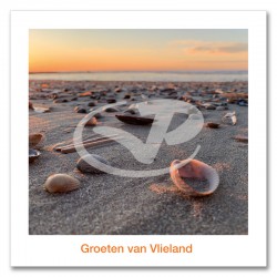 Ansichtkaart 15x15 Schelpen Op Strand Vlieland