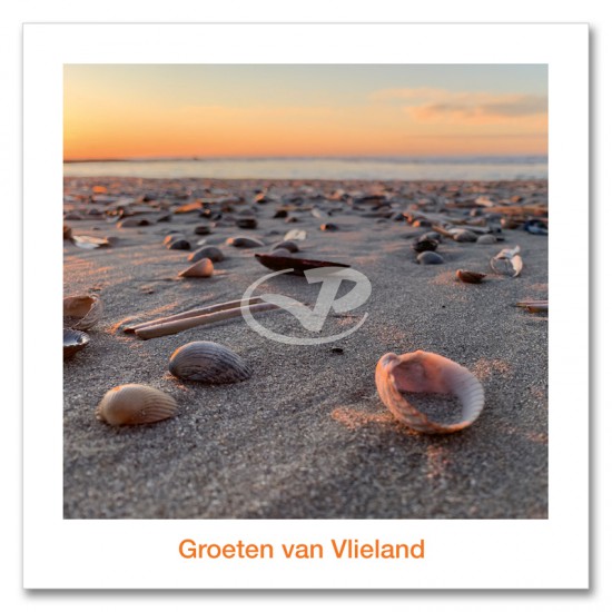 Ansichtkaart 15x15 Schelpen Op Strand Vlieland Ansichtkaart 15x15 Schelpen Op Strand Vlieland