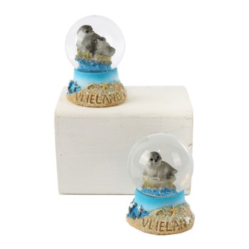 Schudbol Zeehond Vlieland Op Zandplaat