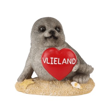 Zeehond Op Zandplaat Met Hart Vlieland