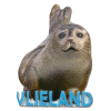 Magneet Zeehond Vlieland