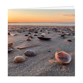 Wenskaart Schelpen in Zand bij Laaghangende Zon