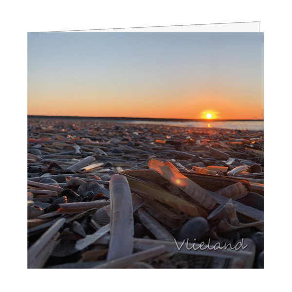 Wenskaart Schelpen op Strand bij Zonsondergang