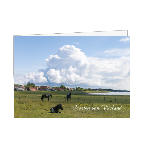 Wenskaart A6 Zicht op het Dorp vanaf de Postweg