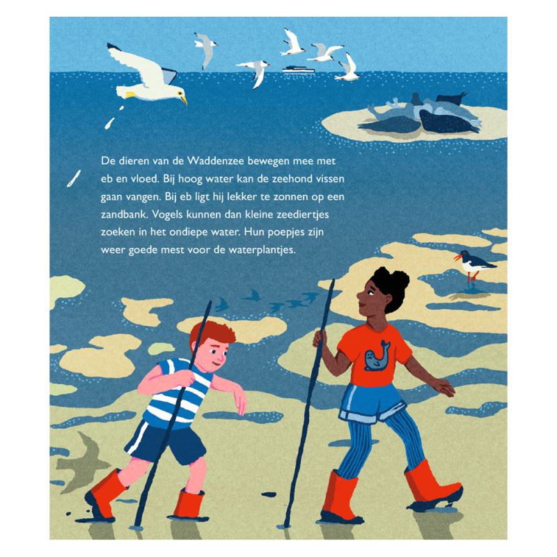 Mijn Gouden Boekje over de Wadden