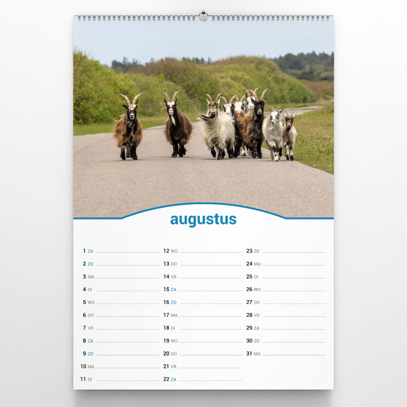 Vlieland Kalender 2026 - vlielandplaatjes.nl